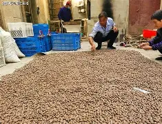 英雄联盟S15赛制-J4=n轆'┥乇6J″榧?